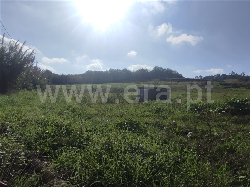 Terreno com ruina / Mafra, Encarnação, Mafra