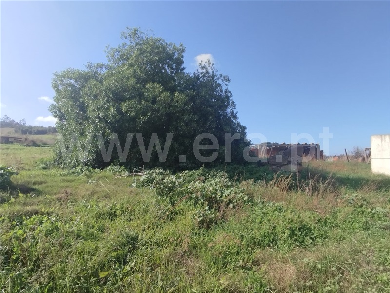 Terreno com ruina  Mafra, Encarnação, Mafra - 1430496 - 17
