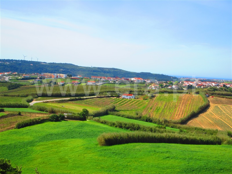 Terreno com ruina / Mafra, Encarnação, Mafra