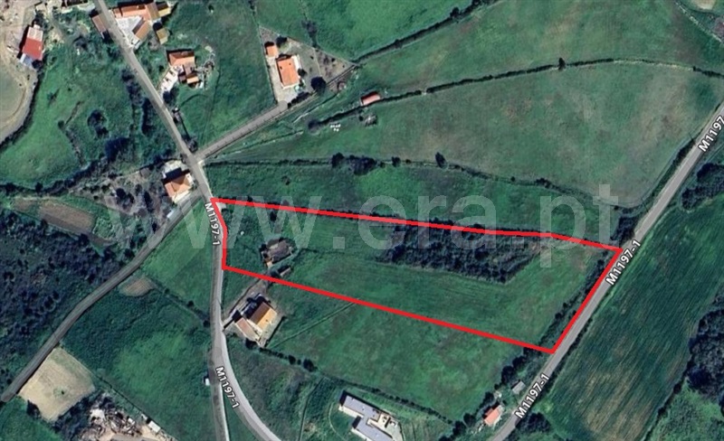 Terreno com ruina  Mafra, Igreja Nova e Cheleiros - 1481022 - 1