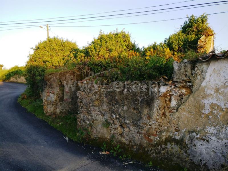 Moradia  Mafra, Santo Isidoro, Mafra - 1295631 - 2