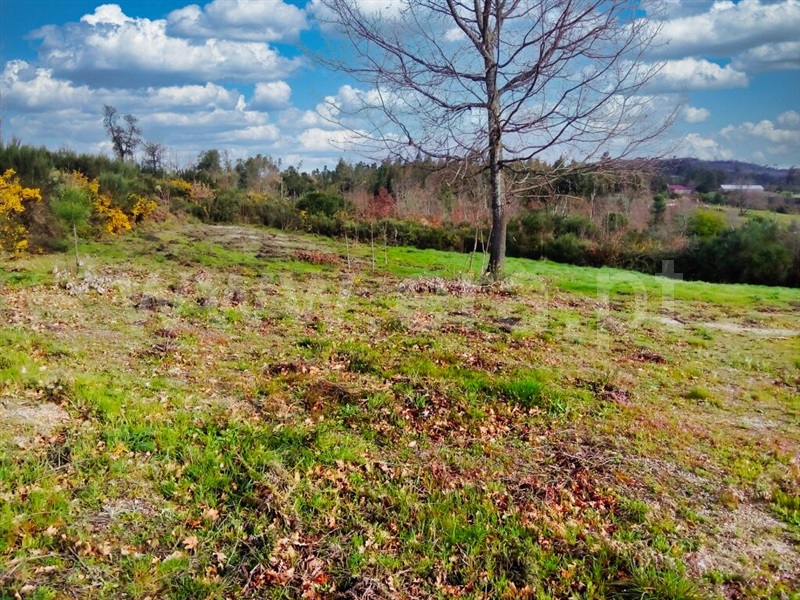Terreno com ruina  Mangualde, Santiago de Cassurrães e Póvoa de Cervães - 1388254 - 3