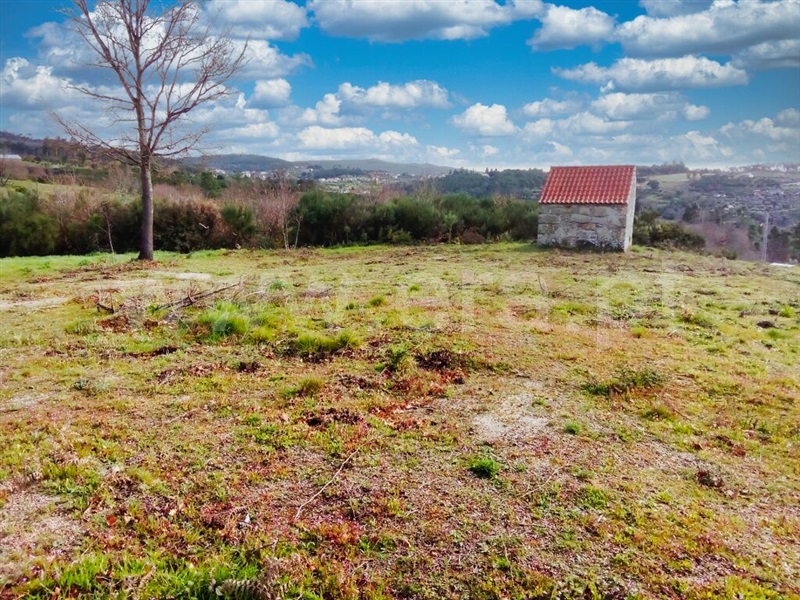 Terreno com ruina  Mangualde, Santiago de Cassurrães e Póvoa de Cervães - 1388254 - 5
