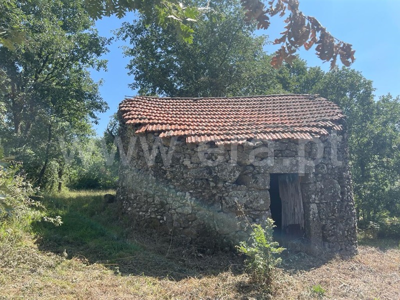 Terreno com ruina  Mangualde, São João da Fresta - 1337694 - 3