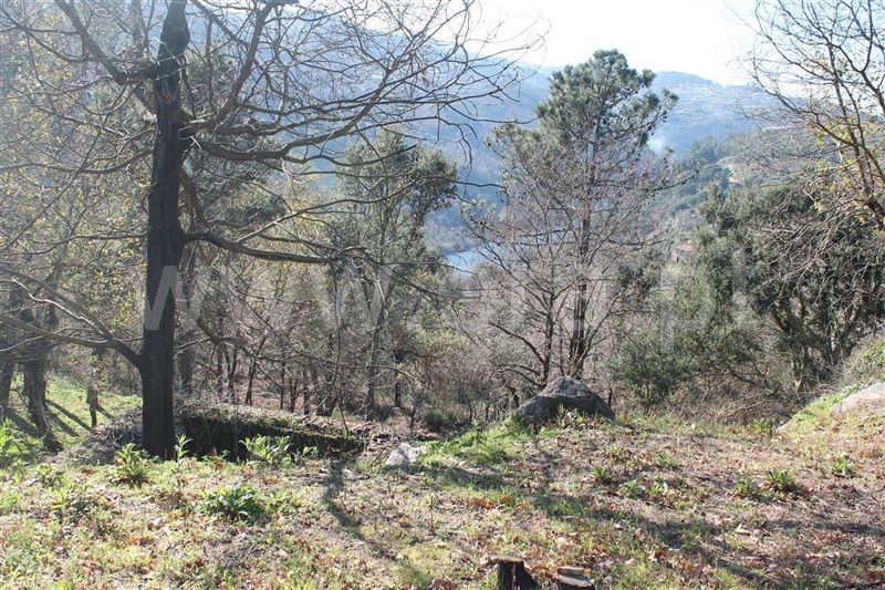 Terreno com ruina / Marco de Canaveses, Penhalonga e Paços de Gaiolo
