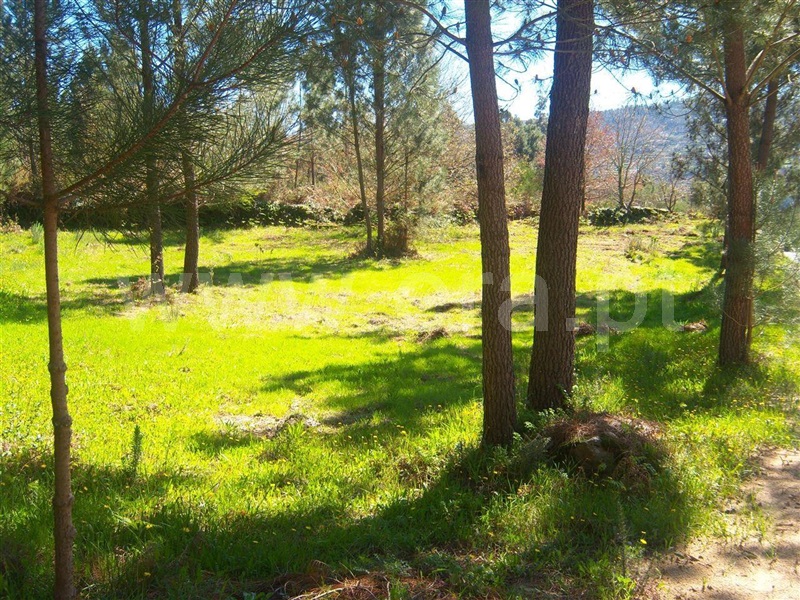 Terreno com ruina / Marco de Canaveses, Sande e São Lourenço
