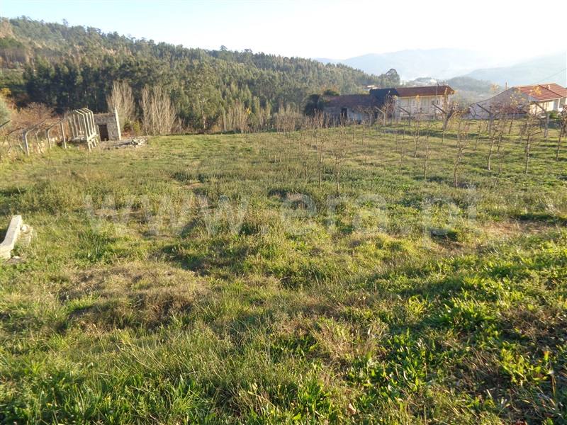Terreno com ruina  Marco de Canaveses, Sande e São Lourenço - 869785 - 4