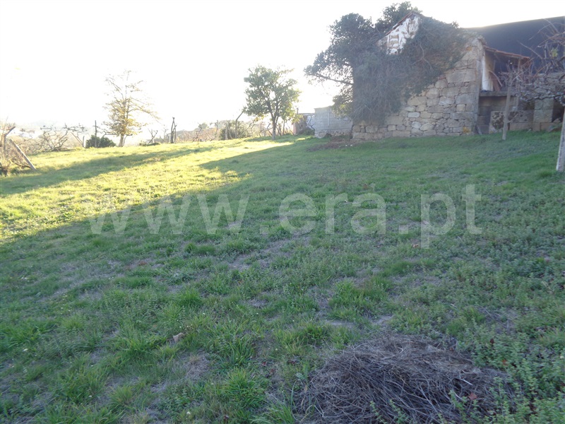 Terreno com ruina  Marco de Canaveses, Sande e São Lourenço - 869785 - 5