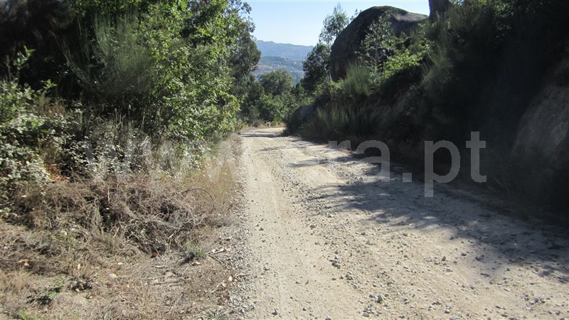 Terreno  Marco de Canaveses, Soalhães - 842466 - 3
