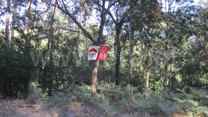 Terreno  Marco de Canaveses, Soalhães - 842466 - 4