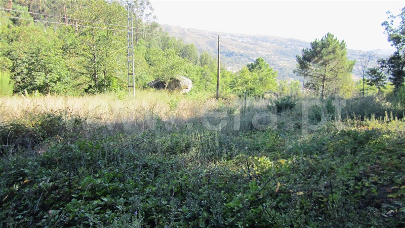Terreno  Marco de Canaveses, Soalhães - 842466 - 7