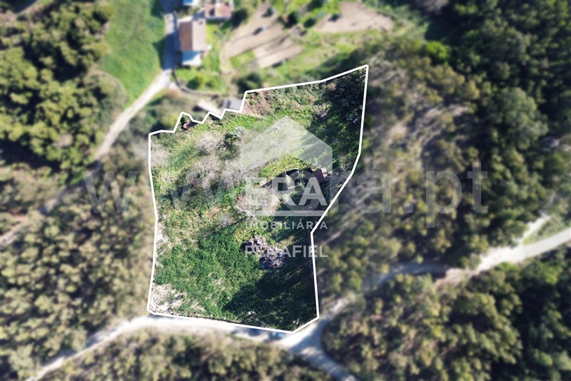 Terreno com ruina / Marco de Canaveses, Vila Boa de Quires e Maureles