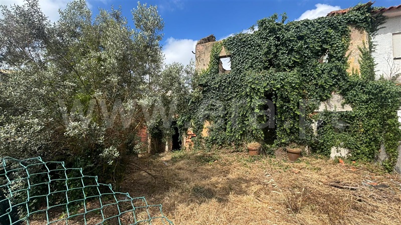 Terreno com ruina / Mealhada, Mealhada, Ventosa do Bairro e Antes