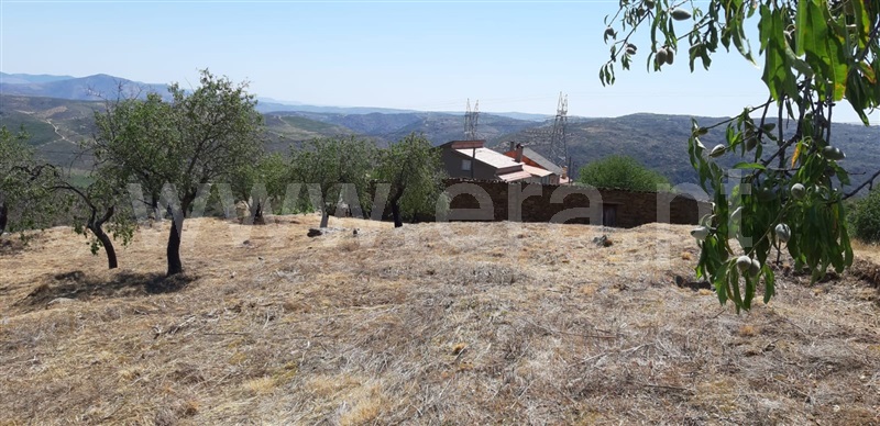 Terreno com ruina  Meda, Mêda, Outeiro de Gatos e Fonte Longa - 1414006 - 3