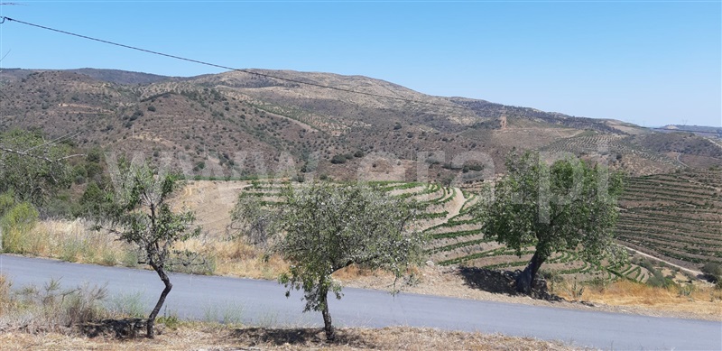 Terreno com ruina  Meda, Mêda, Outeiro de Gatos e Fonte Longa - 1414006 - 4