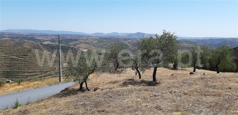 Terreno com ruina  Meda, Mêda, Outeiro de Gatos e Fonte Longa - 1414006 - 7