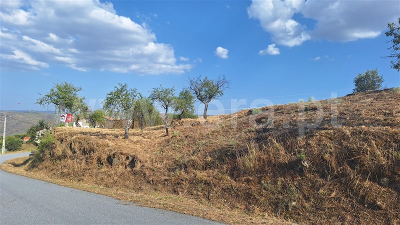 Terreno com ruina  Meda, Mêda, Outeiro de Gatos e Fonte Longa - 1414006 - 12