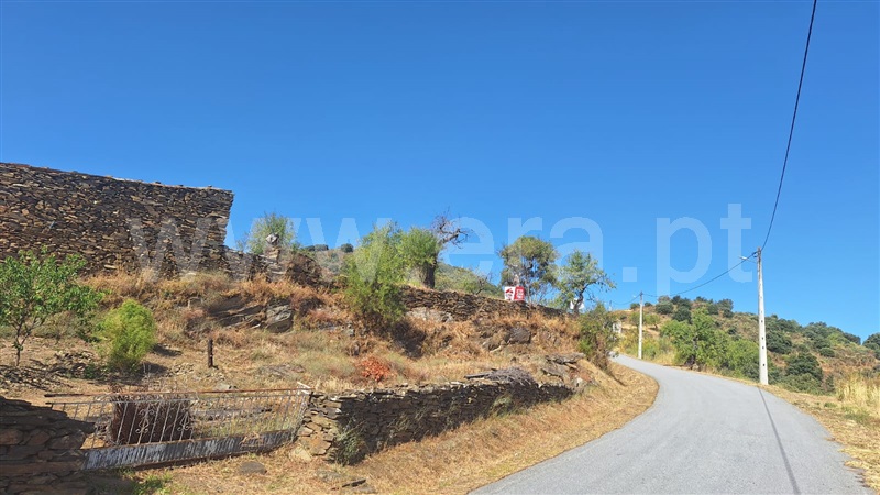 Terreno com ruina  Meda, Mêda, Outeiro de Gatos e Fonte Longa - 1414006 - 13