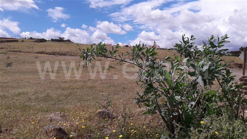 Terreno com ruina  Mértola, Santana de Cambas - 1089824 - 4