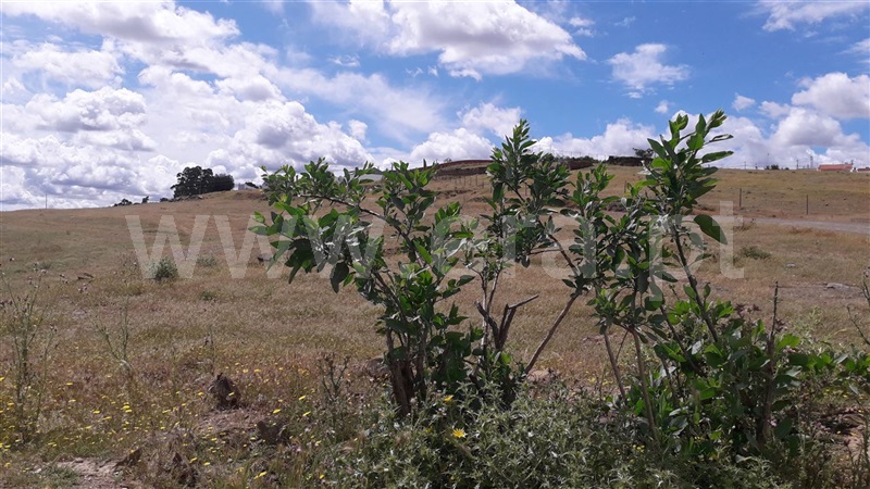 Terreno com ruina  Mértola, Santana de Cambas - 1089824 - 5