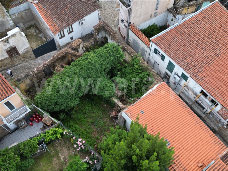 Terreno com ruina / Mirandela, Mirandela