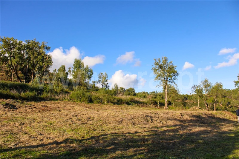 Terreno com ruina  Monchique, Alferce - 1444359 - 2