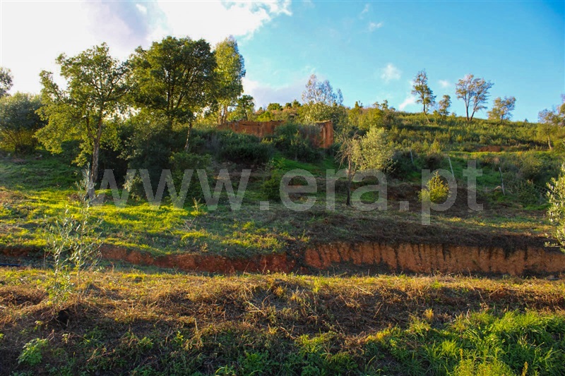 Terreno com ruina  Monchique, Alferce - 1444359 - 3