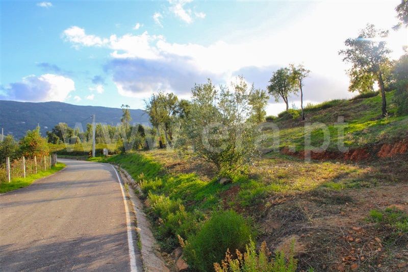 Terreno com ruina  Monchique, Alferce - 1444359 - 5