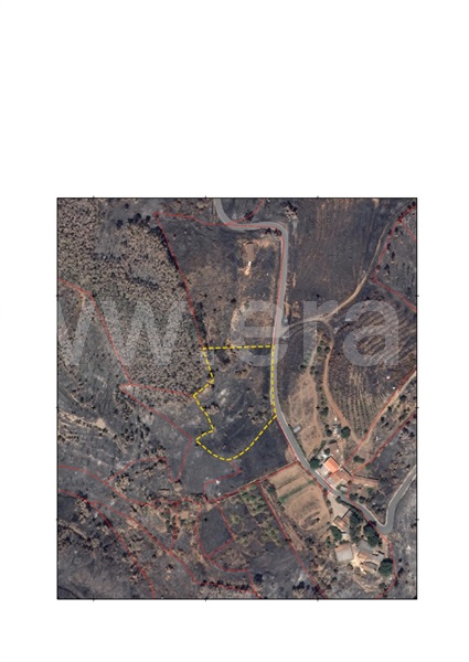 Terreno com ruina  Monchique, Alferce - 1444359 - 9