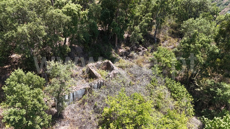 Terreno com ruina / Monchique