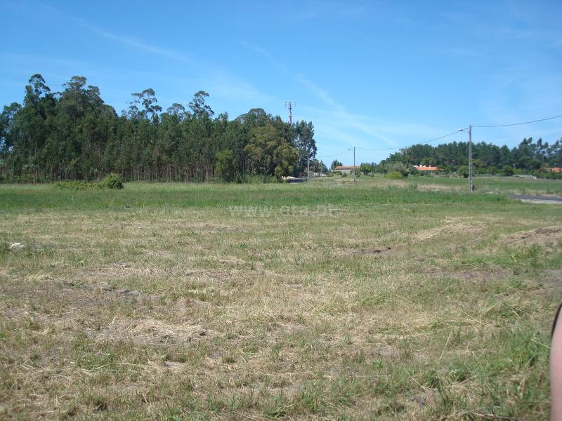Terreno com ruina  Montemor-o-Velho, Viso - Arazede - 649430 - 3