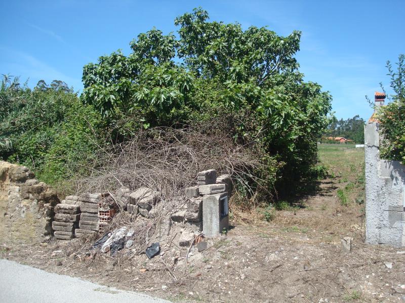 Terreno com ruina  Montemor-o-Velho, Viso - Arazede - 649430 - 7