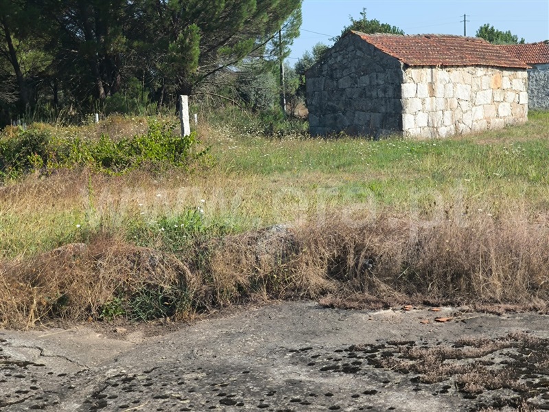 Terreno com ruina  com Rústico Nelas, Lapa do Lobo - 1424072 - 6