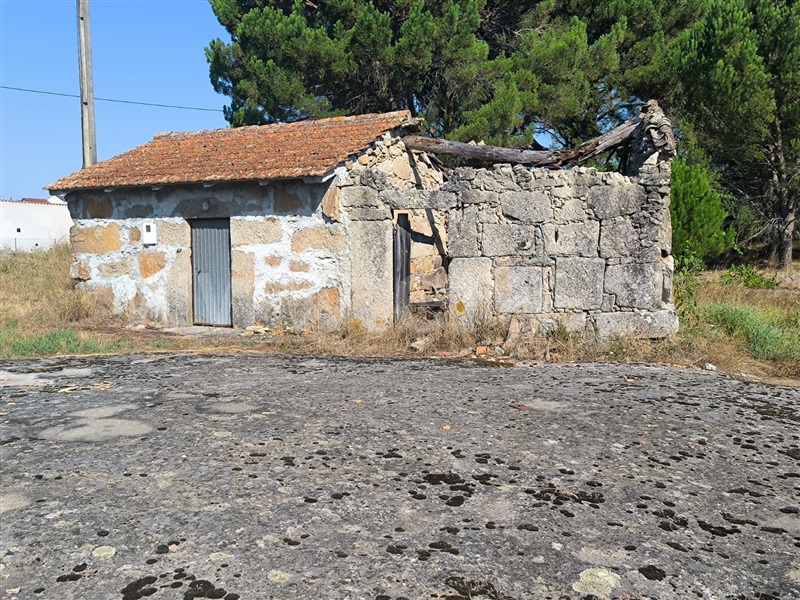 Terreno com ruina  com Rústico Nelas, Lapa do Lobo - 1424072 - 7