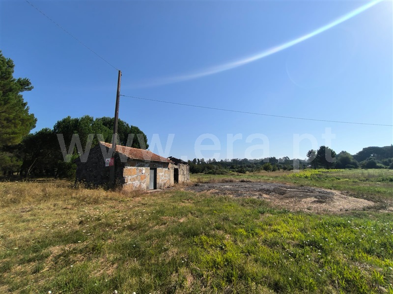 Terreno com ruina / Nelas, Lapa do Lobo