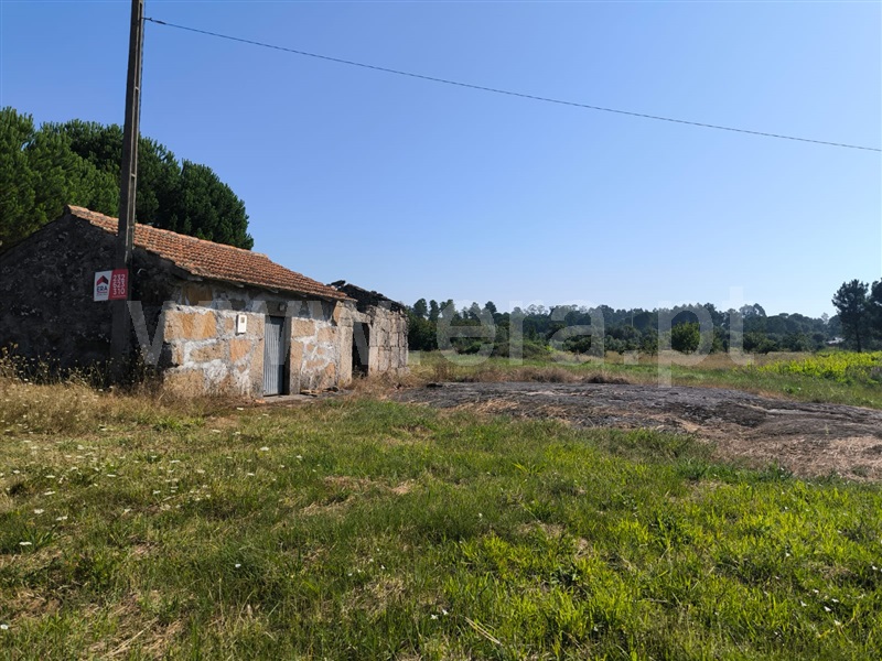 Terreno com ruina  com Rústico Nelas, Lapa do Lobo - 1424072 - 10
