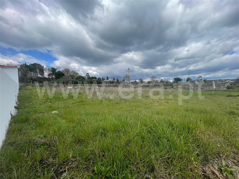 Terreno com ruina  Nelas, Senhorim - 1464988 - 3