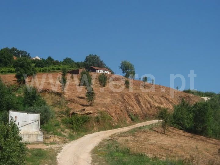 Terreno com ruina / Óbidos, A-dos-Negros