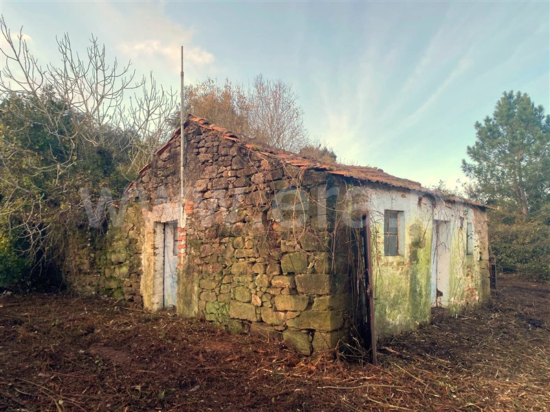 Terreno com ruina / Óbidos, A-dos-Negros