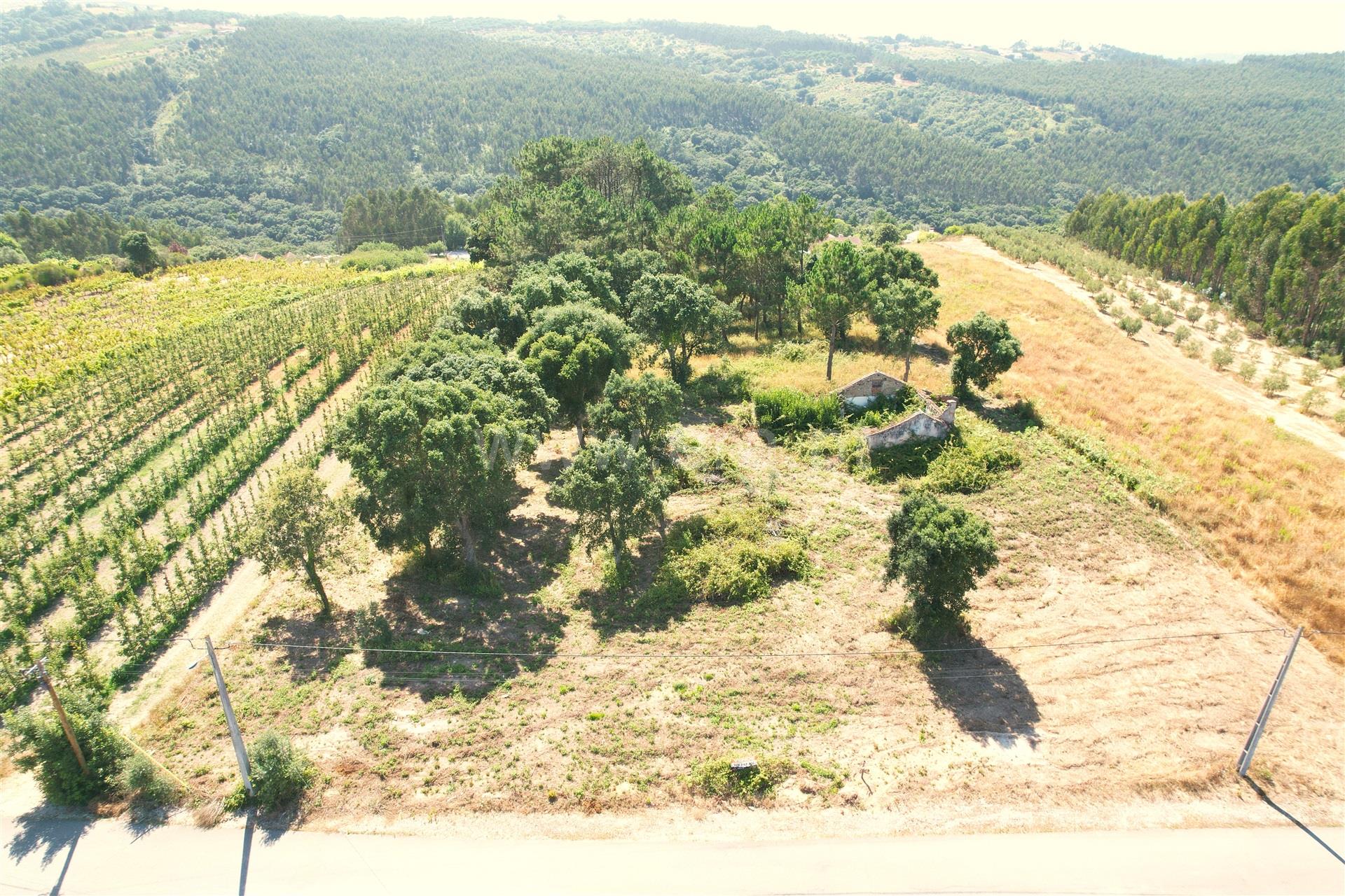 Land for sale in Óbidos, Portugal — €90,000