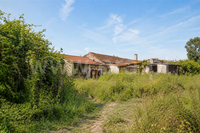 Terreno com ruina / Óbidos, Gaeiras