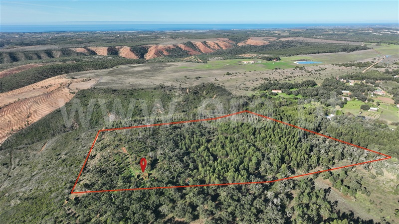 Terreno com ruina / Odemira, São Teotónio