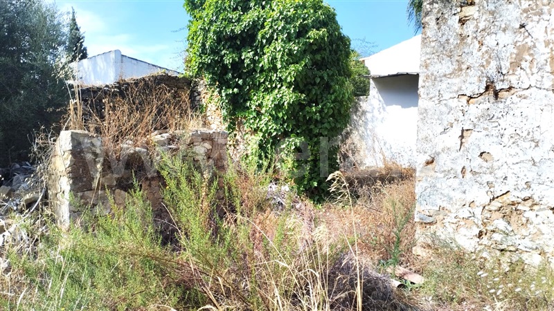 Terreno com ruina / Olhão, Moncarapacho e Fuseta