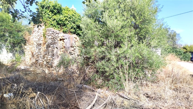 Terreno com ruina  Olhão, Moncarapacho e Fuseta - 1506076 - 8