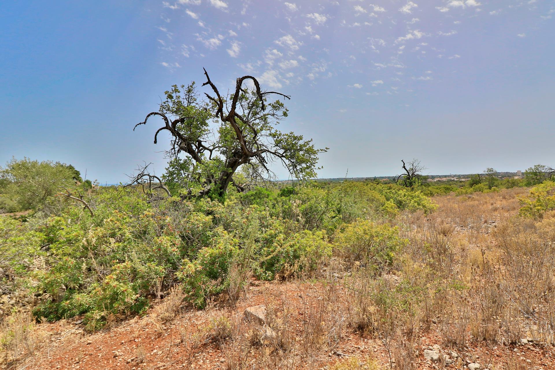 Land for sale in Olhão, Portugal — €140,000