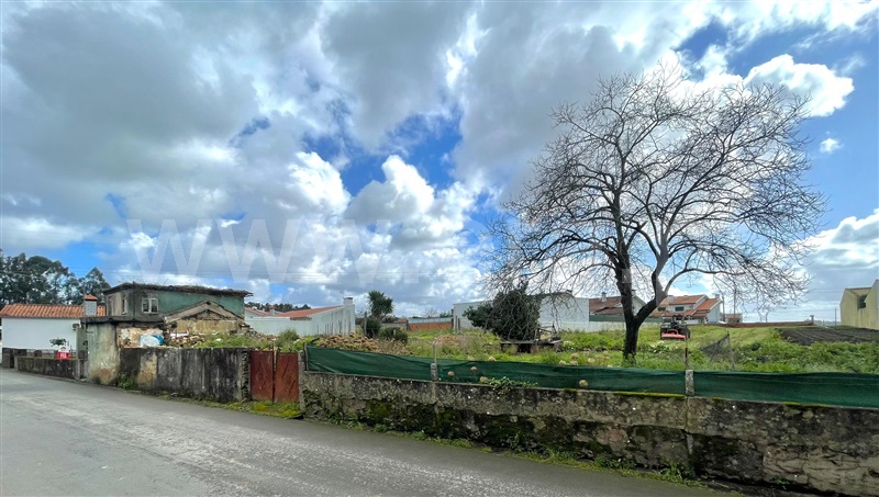 Terreno com ruina  Oliveira de Azeméis, Loureiro - 1389635 - 3