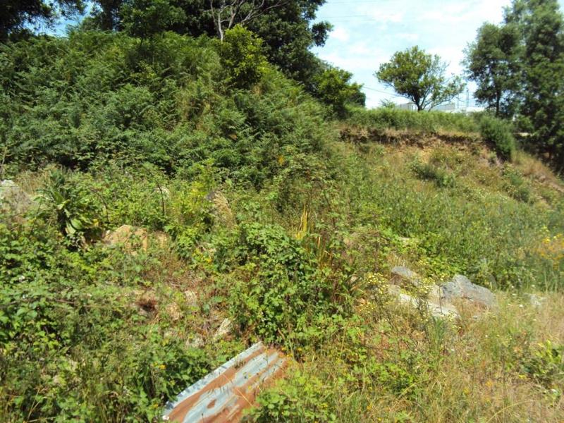 Terreno com ruina  Oliveira de Azeméis, OAZ - 5 - 1236251 - 4