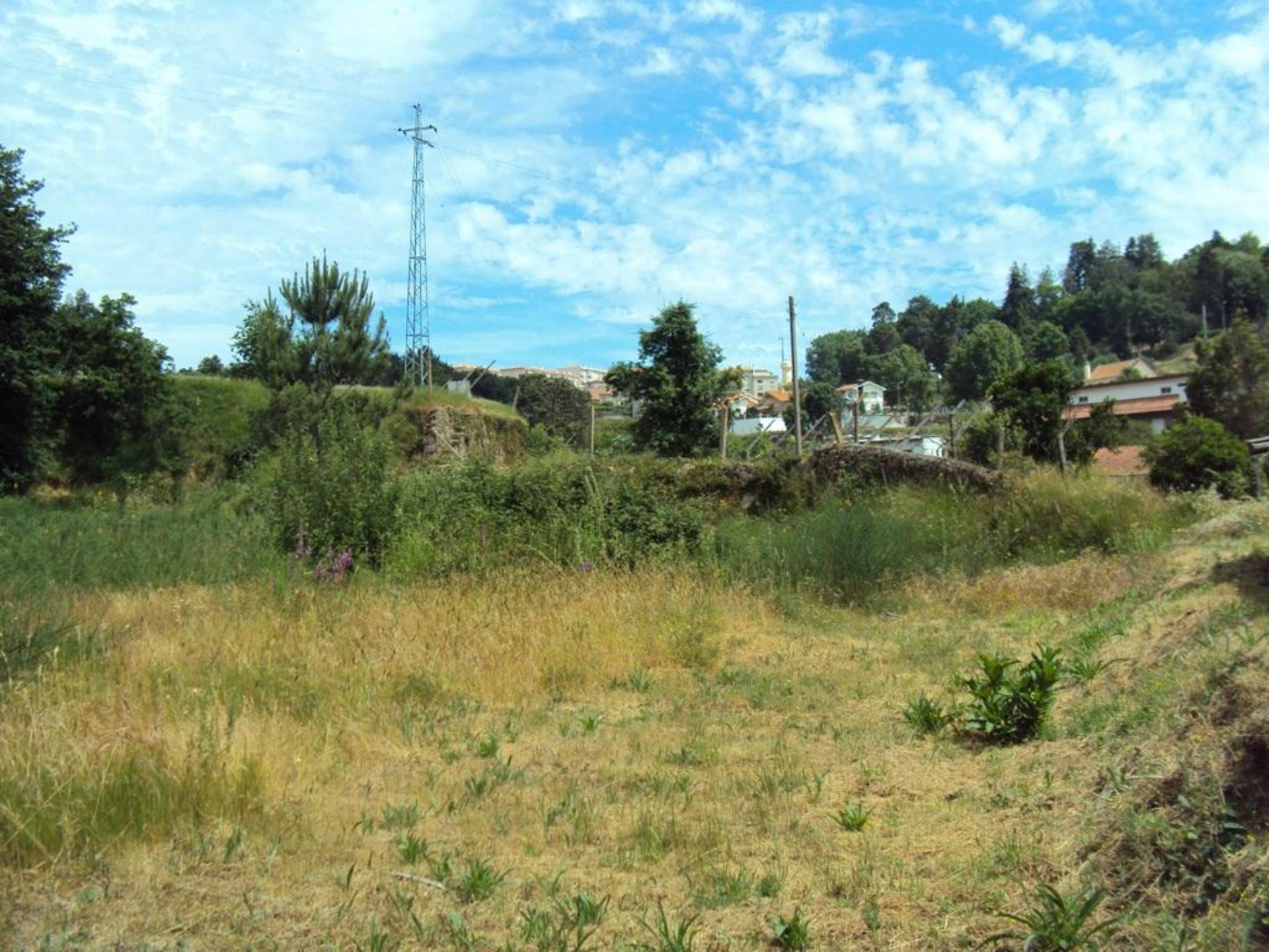 Land for sale in Oliveira de Azeméis, Portugal — €143,000