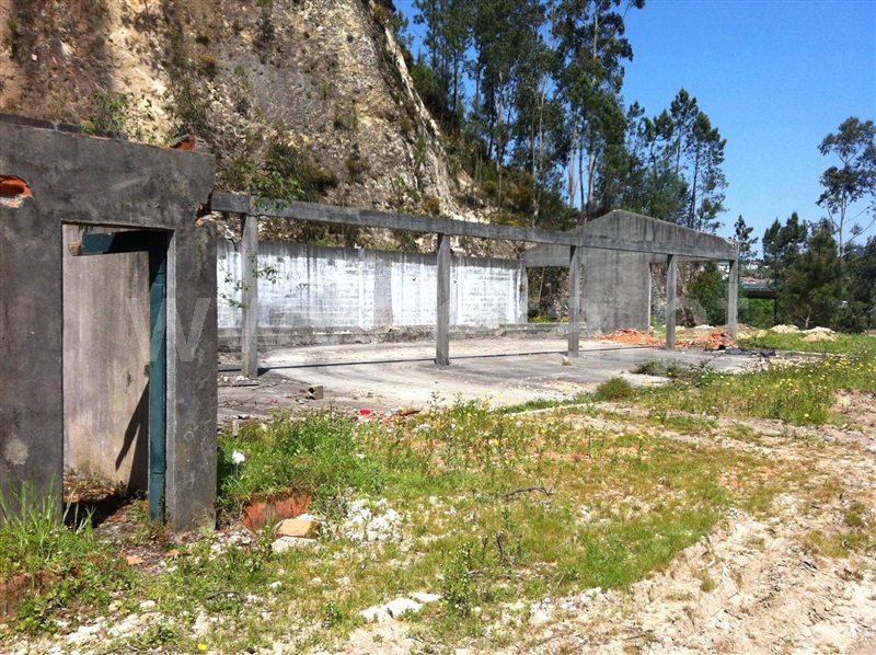 Terreno com ruina / Oliveira de Azeméis, Ossela