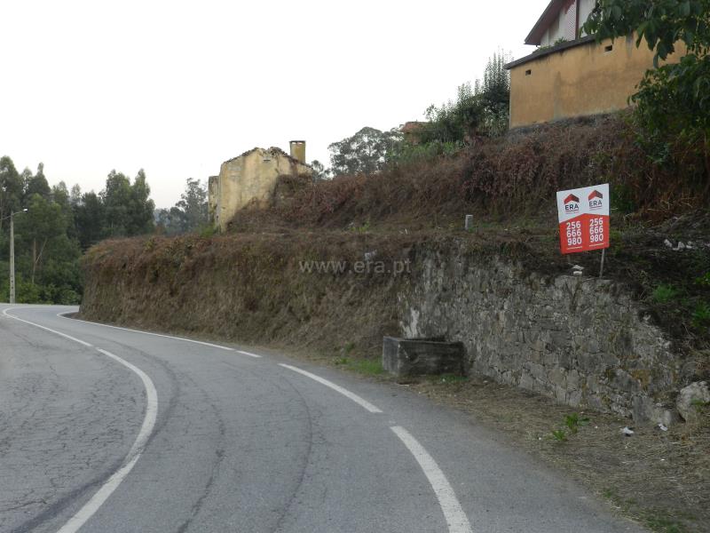 Terreno com ruina / Oliveira de Azeméis, Palmaz